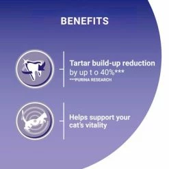 Purina ONE Adult Salmon & Whole Grains Dry Cat Food -Zooplus Sales Shop purina one adult lachs mit vollkorngetreide uk 07 1