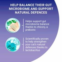 Purina ONE Adult Salmon & Whole Grains Dry Cat Food -Zooplus Sales Shop purina one adult lachs mit vollkorngetreide uk 08 7