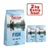 12kg Purizon Grain-Free 80:20:0 Dry Dog Food + 2kg Extra Free!* -Zooplus Sales Shop purizon ddf overfiller 2