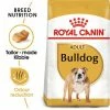 Royal Canin Bulldog Adult -Zooplus Sales Shop rc bhn bulldog mv eretailkit 1