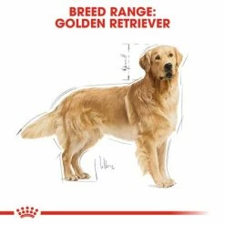 Royal Canin Golden Retriever Adult -Zooplus Sales Shop rc bhn goldenretriever cv eretailkit 1 3