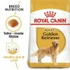 Royal Canin Golden Retriever Adult -Zooplus Sales Shop rc bhn goldenretriever mv eretailkit 9