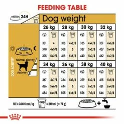 Royal Canin Labrador Retriever Adult -Zooplus Sales Shop rc bhn labrador cv eretailkit 5 2