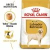 Royal Canin Labrador Retriever Adult -Zooplus Sales Shop rc bhn labrador mv eretailkit 6