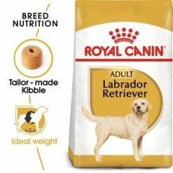 Royal Canin Labrador Retriever Adult