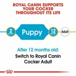 Royal Canin Cocker Spaniel Puppy -Zooplus Sales Shop rc bhn puppycocker cv eretailkit 1 7