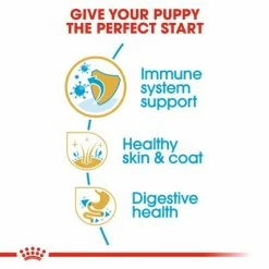Royal Canin Cocker Spaniel Puppy -Zooplus Sales Shop rc bhn puppycocker cv eretailkit 3 0