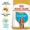 Royal Canin Cocker Spaniel Puppy -Zooplus Sales Shop rc bhn puppycocker mv eretailkit 7