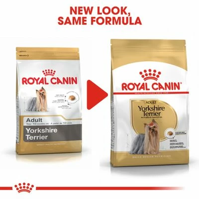 Royal Canin Yorkshire Terrier Adult 10 Royal Canin Yorkshire Terrier Adult - Image 8
