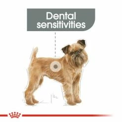 Royal Canin Mini Dental Care -Zooplus Sales Shop rc ccn dentalmini cv eretailkit 1 7