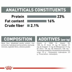 Royal Canin Mini Dental Care -Zooplus Sales Shop rc ccn dentalmini cv eretailkit 6 7