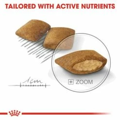 Royal Canin Mini Exigent -Zooplus Sales Shop rc ccn exigentmini cv eretailkit 5 7