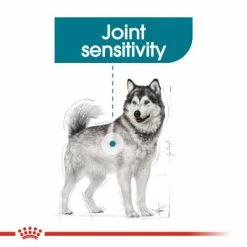 Royal Canin Maxi Joint Care -Zooplus Sales Shop rc ccn jointcaremaxi cv eretailkit 2 7