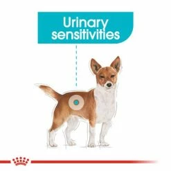 Royal Canin Mini Urinary Care 13 Royal Canin Mini Urinary Care -Zooplus Sales Shop rc ccn urinarymini cv eretailkit 1 1 2