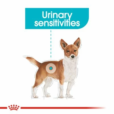 Royal Canin Mini Urinary Care 6 Royal Canin Mini Urinary Care - Image 4