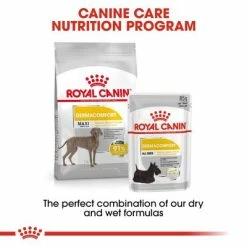 Royal Canin Maxi Dermacomfort -Zooplus Sales Shop rc dermacomfort maxi3 5