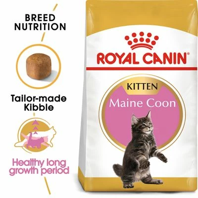 Zooplusus.com | Black Firday Royal Canin Maine Coon Kitten | Shop