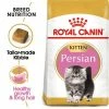 Royal Canin Persian Kitten 1 Royal Canin Persian Kitten -Zooplus Sales Shop rc fbn kittenpersian breed kitten 000 uk english 0