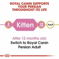 Royal Canin Persian Kitten -Zooplus Sales Shop rc fbn kittenpersian cv1 000 uk english 4