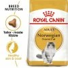 Royal Canin Norwegian Forest Cat Adult -Zooplus Sales Shop rc fbn norwegianfc mv eretailkit 3