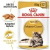 Royal Canin Maine Coon Adult In Gravy -Zooplus Sales Shop rc fbn wet mainecoon mv eretailkit 7
