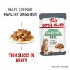 Royal Canin Digestive Care In Gravy