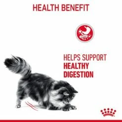 Royal Canin Digestive Care In Gravy 14 Royal Canin Digestive Care In Gravy -Zooplus Sales Shop rc fcn digestivecarepouchgravy 6 en gb 3
