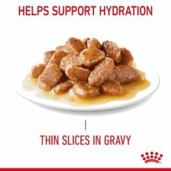 Royal Canin Digestive Care In Gravy 15 Royal Canin Digestive Care In Gravy -Zooplus Sales Shop rc fcn digestivecarepouchgravy 7 en gb 7
