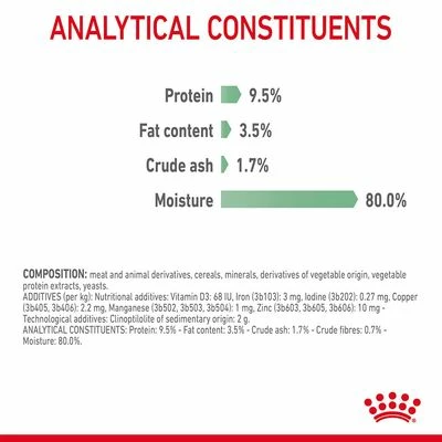 Royal Canin Digestive Care In Gravy 10 Royal Canin Digestive Care In Gravy - Image 8