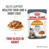 Royal Canin Hair & Skin Care In Gravy 2 Royal Canin Hair & Skin Care In Gravy -Zooplus Sales Shop rc fcn hair skinpouchgravy 1 en gb 1