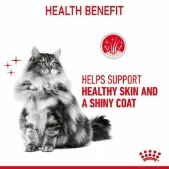 Royal Canin Hair & Skin Care In Gravy 14 Royal Canin Hair & Skin Care In Gravy -Zooplus Sales Shop rc fcn hair skinpouchgravy 6 en gb 0