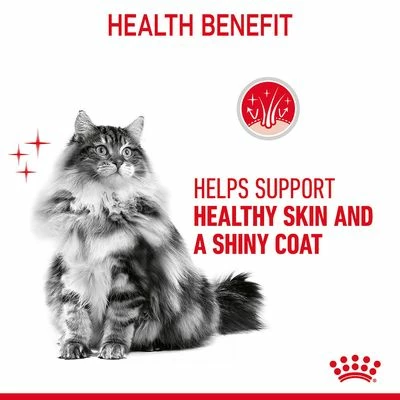 Royal Canin Hair & Skin Care In Gravy 7 Royal Canin Hair & Skin Care In Gravy - Image 5