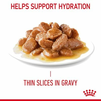 Royal Canin Hair & Skin Care In Gravy 8 Royal Canin Hair & Skin Care In Gravy - Image 6