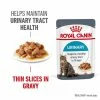 Royal Canin Urinary Care In Gravy