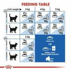 Royal Canin Indoor Appetite Control -Zooplus Sales Shop rc fhn indoorappetitecontrol cv eretailkit 4 2