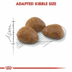 Royal Canin Outdoor 7+ -Zooplus Sales Shop rc fhn outdoor7 cv eretailkit 3 0