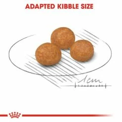 Royal Canin X-Small Adult -Zooplus Sales Shop rc shn adultxsmall cv eretailkit 3 3