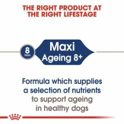 Royal Canin Maxi Ageing 8+ In Gravy 14 Royal Canin Maxi Ageing 8+ In Gravy -Zooplus Sales Shop rc shn wet maxiageing cv eretailkit 1 7