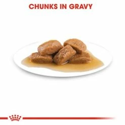 Royal Canin Maxi Ageing 8+ In Gravy 16 Royal Canin Maxi Ageing 8+ In Gravy -Zooplus Sales Shop rc shn wet maxiageing cv eretailkit 3 7