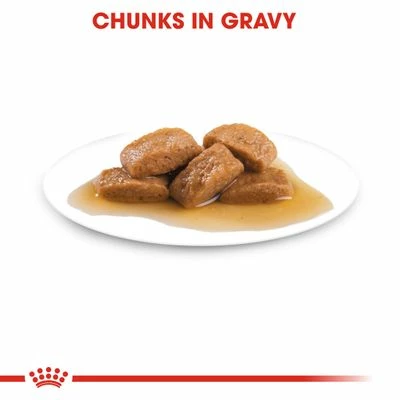 Royal Canin Maxi Ageing 8+ In Gravy 9 Royal Canin Maxi Ageing 8+ In Gravy - Image 7