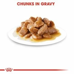 Royal Canin Mini Adult In Gravy 13 Royal Canin Mini Adult In Gravy -Zooplus Sales Shop rc shn wet miniadult cv eretailkit 3 7