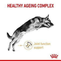 Royal Canin German Shepherd Adult 5+ -Zooplus Sales Shop rc spt dry germshep5 page 3 1 8