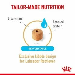 Royal Canin Labrador Retriever Adult 5+ 11 Royal Canin Labrador Retriever Adult 5+ -Zooplus Sales Shop rc spt dry lab5 page 4 1 7