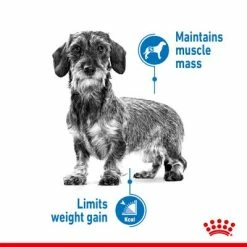 Royal Canin Mini Light Weight Care -Zooplus Sales Shop rc spt dry lightweightmini page 3 7