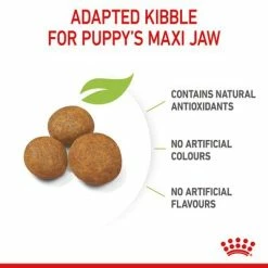 Royal Canin Maxi Puppy -Zooplus Sales Shop rc spt dry maxipuppy b1 page 07 1
