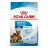 Royal Canin Maxi Starter Mother & Babydog -Zooplus Sales Shop rc spt dry maxistart b1 page 02 5