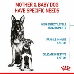 Royal Canin Maxi Starter Mother & Babydog -Zooplus Sales Shop rc spt dry maxistart b1 page 05 0