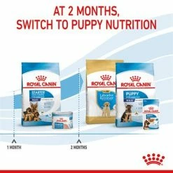 Royal Canin Maxi Starter Mother & Babydog -Zooplus Sales Shop rc spt dry maxistart b1 page 08 7