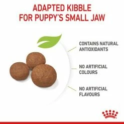 Royal Canin Medium Puppy -Zooplus Sales Shop rc spt dry mediumpuppy b1 page 07 8