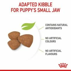 Royal Canin Mini Puppy -Zooplus Sales Shop rc spt dry minipuppy b1 page 07 4
